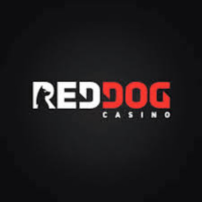 24/7 Casino Bonus: 120% – 185% logo